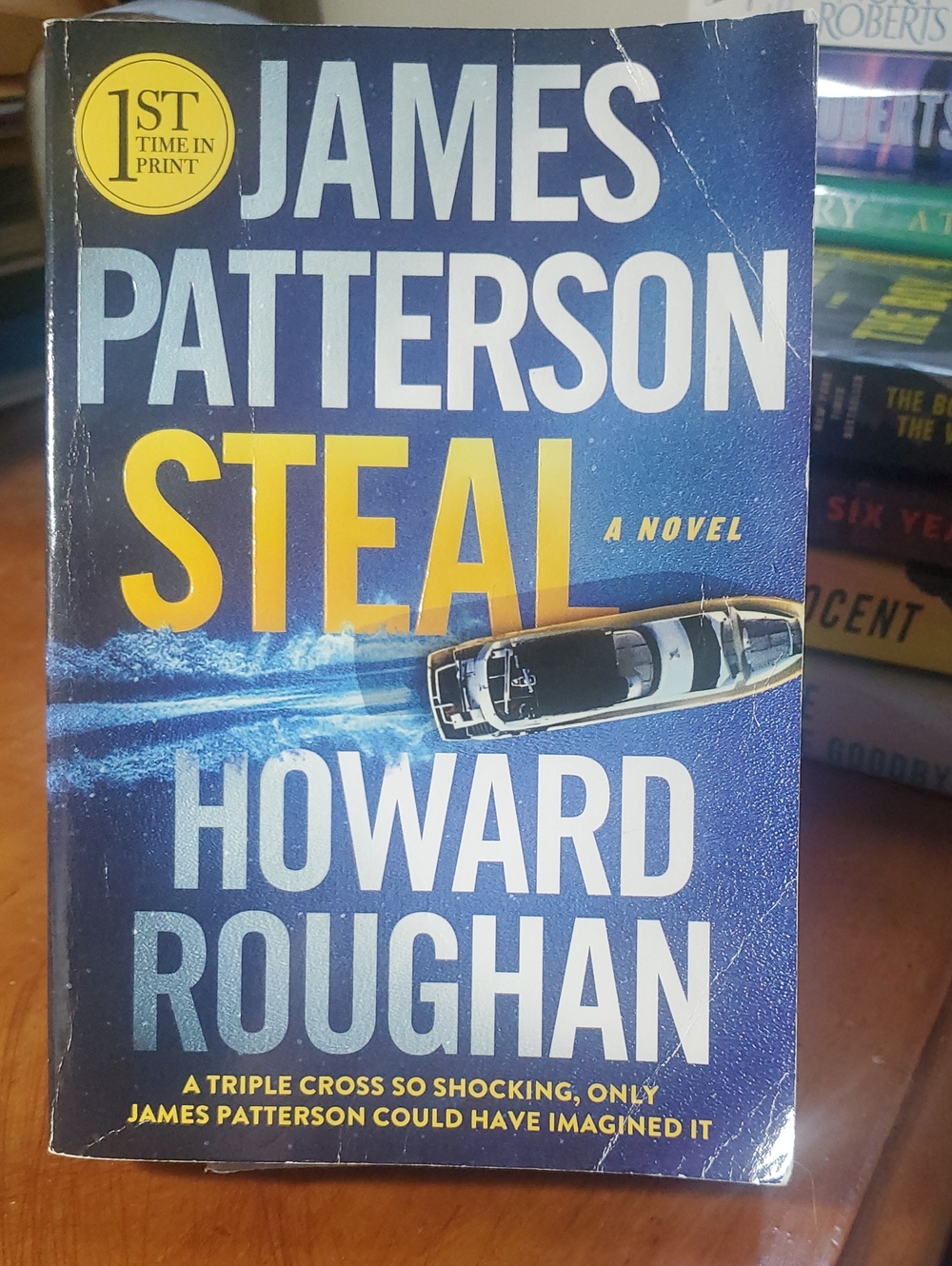 James Patterson & Howard Roughan - Steal (Blue & Yellow Paperback Novel)
